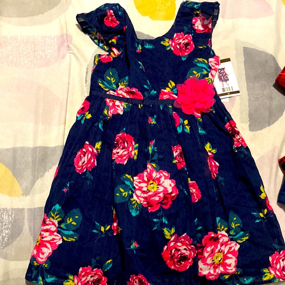 NWT floral dress 3t
